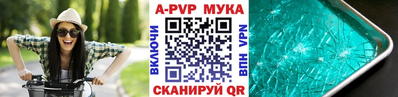 Альфа ПВП крисы CK Грозный
