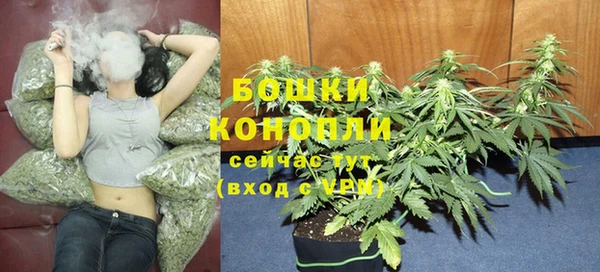 трава Медногорск
