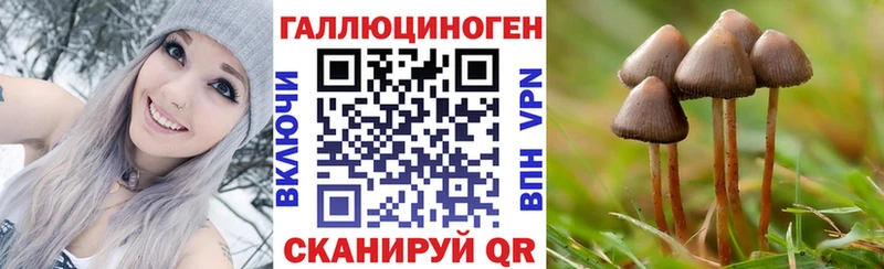 Галлюциногенные грибы GOLDEN TEACHER  как найти закладки  Грозный 